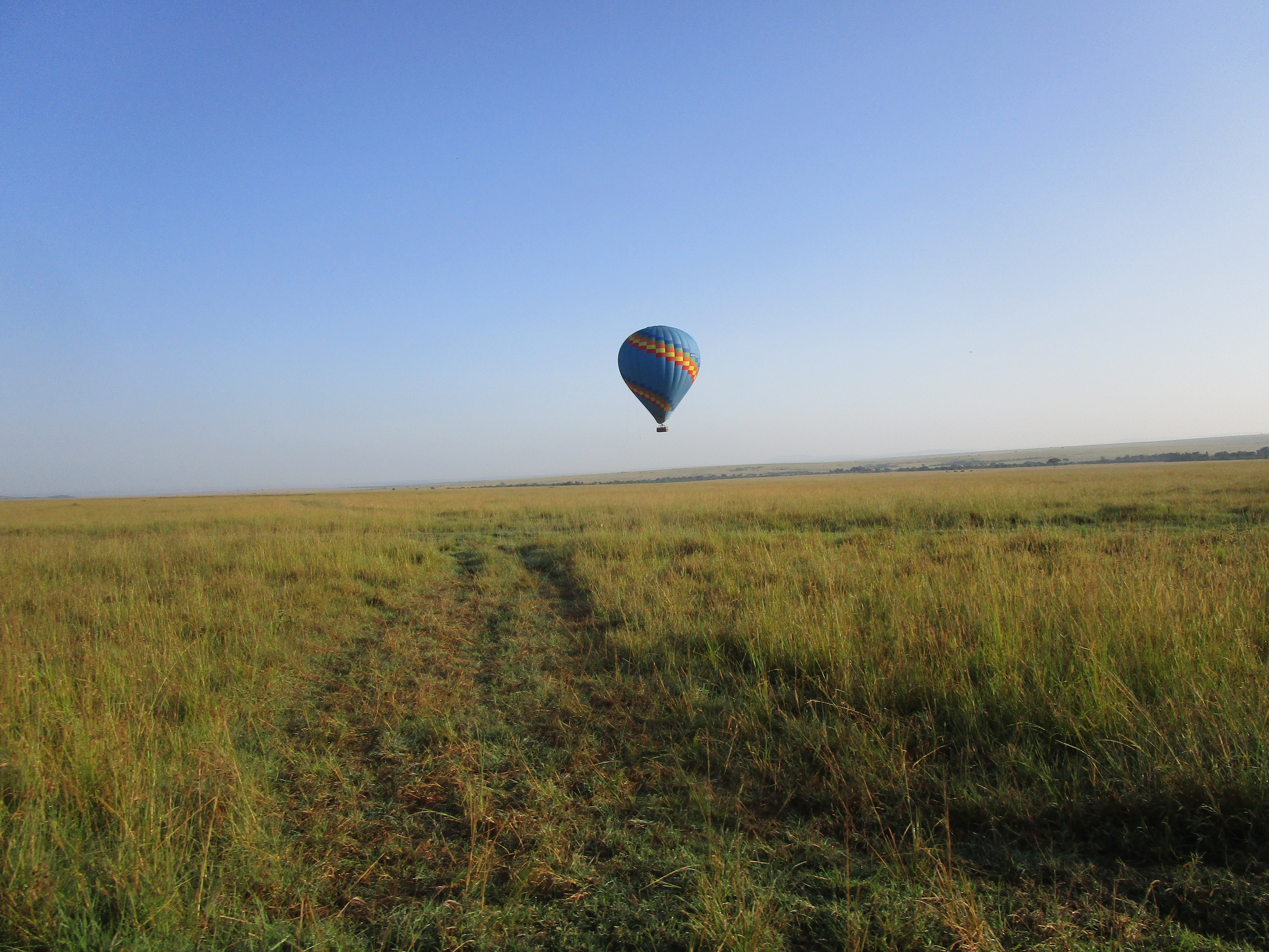 6 DAYS CLASSIC AFRICAN SAFARI.